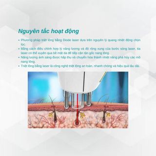 Máy triệt lông Diode laser 808nm HR11