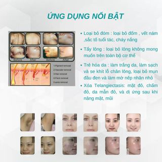 Máy triệt lông SHR+Elight+IPL (FMS-I)