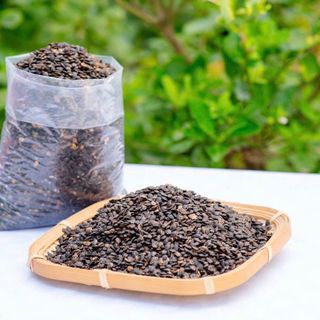 BÁN SỈ HẠT CHANH DÂY SẤY – TOPPING TRÀ SỮA MỚI LẠ, GIÒN LẠI CỰC KỲ DINH DƯỠNG!