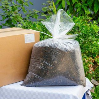 BÁN SỈ HẠT CHANH DÂY SẤY – TOPPING TRÀ SỮA MỚI LẠ, GIÒN LẠI CỰC KỲ DINH DƯỠNG!