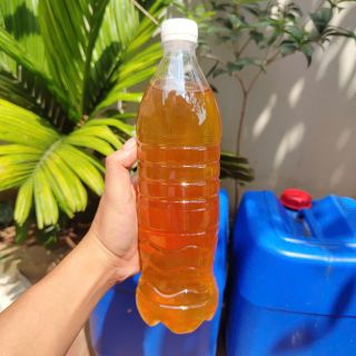 Mật Ong Đa Hoa Vụ Hè 2025 - Sỉ Trên 20 Lít