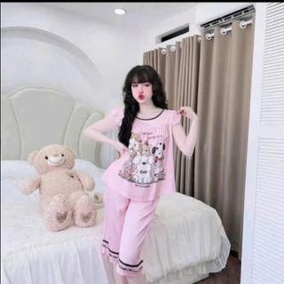 Set Bộ Lở Chất Liệu Vải Latin