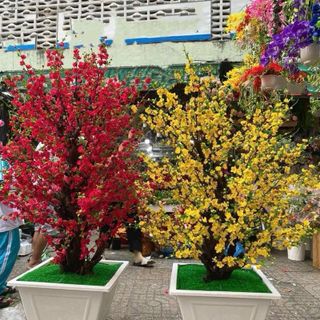 Cành Đào, Cành Đào Cổ Nhật, Thân Mốc Cao 80cm hoặc 1,1m. Dùng Cắm Bình , Làm Cây , Trang Trí Tết ,Decor Nhà Cửa