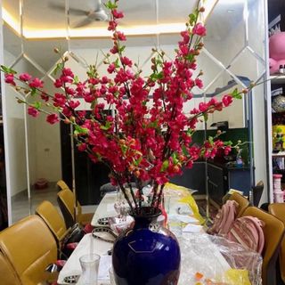 Cành Đào, Cành Đào Cổ Nhật, Thân Mốc Cao 80cm hoặc 1,1m. Dùng Cắm Bình , Làm Cây , Trang Trí Tết ,Decor Nhà Cửa