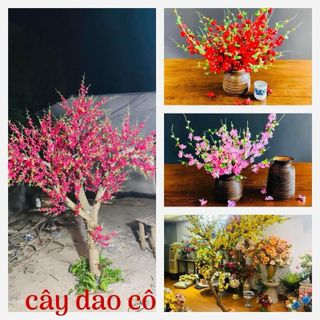 Cành Đào, Cành Đào Cổ Nhật, Thân Mốc Cao 80cm hoặc 1,1m. Dùng Cắm Bình , Làm Cây , Trang Trí Tết ,Decor Nhà Cửa