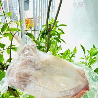 MỰC 1 NẮNG CÔ TÔ NET 7