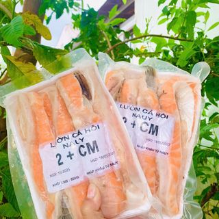 LƯỜN CÁ HỒI NET 8