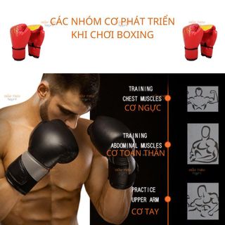 Bao Cát Boxing, Bao Đấm Boxing Combo Full Phụ Kiện Dành Cho Người Lớn Và Trẻ Em, Luyện Boxing Võ Thuật
