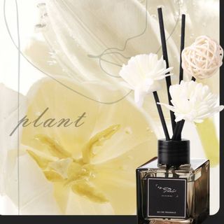 Tinh Dầu Thơm Phòng Thiên Nhiên 50ml, Tinh dầu thơm phòng Que Gỗ Tự Khuếch Tán Thanh
