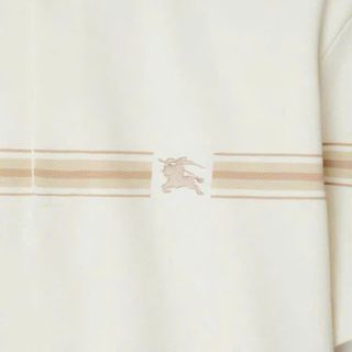 Polo Cotton nam. Chất vải cotton pique cao cấp bán shop
