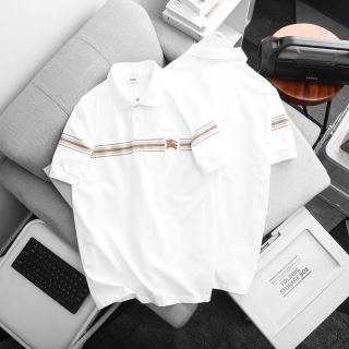 Polo Cotton nam. Chất vải cotton pique cao cấp bán shop