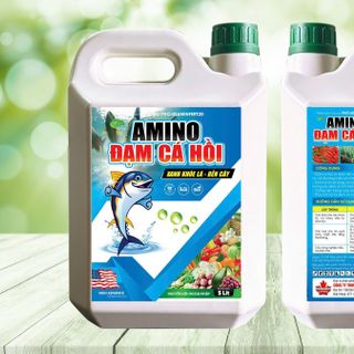 Đạm cá Amino