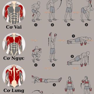 Tạ Ấm Tập Luyện Tại Nhà Cho Nam Nữ – Dụng Cụ Gym Mini Rèn Luyện Sức Khỏe, Tạ Ấm Từ 2Kg – 8Kg