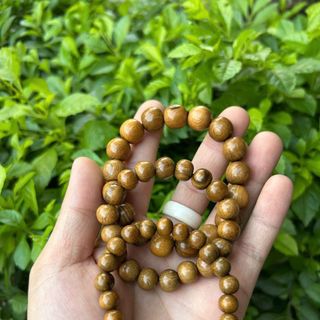 Xưởng sỉ vòng tay gỗ bách xanh