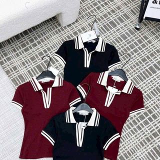 Áo Polo Cổ Bẻ Phối Viền Chất Cotton Co Giãn Mịn Mát - Freesize Dưới 53kg