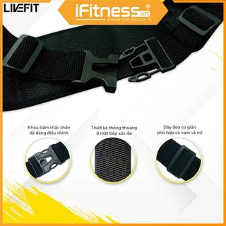 Túi đeo hông chạy bộ LiveFit cao cấp - Running Belt - WB34