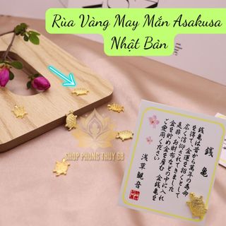 Sỉ Rùa Vàng Phong Thủy May Mắn