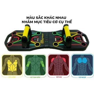 Bộ dụng cụ hít đất và tập luyện thể thao chuyên nghiệp LiveFit