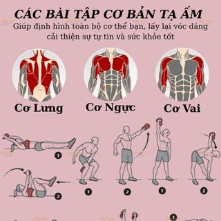 Tạ Chuông, Tạ Ấm ( Kettlebell ) Tập Tạ, Thể Hình Nhiều Màu, Tạ Tập Gym Tại Nhà & Phòng Tập 5LBS - 30LBS