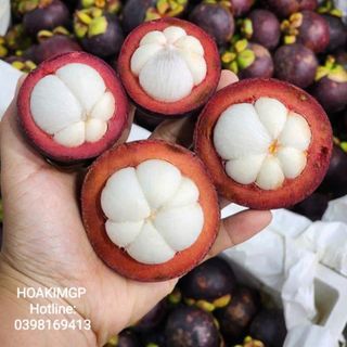 Măng cụt Thái