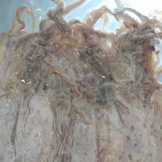 Khô mực Sông Đốc Cà mau Size 40 45