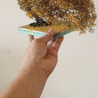 Cây 🌲 tiểu cảnh mini để bàn 101