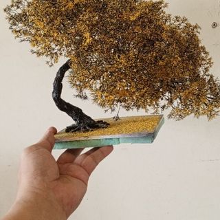 Cây 🌲 tiểu cảnh mini để bàn 101