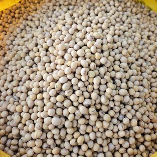 ĐẬU NÀNH MỸ LOẠI 1