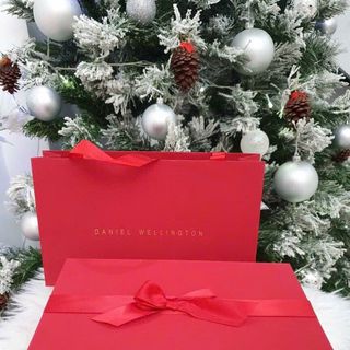 SET ĐỒNG HỒ CAO CẤP DANIEL W LƯỚI TRÒN VÀ VÒNG TAY HỘP HOA ĐỎ