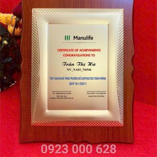 Kỷ niệm chương vinh danh gỗ đồng,biểu trưng ,bảng vàng tôn vinh