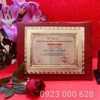 Kỷ niệm chương vinh danh gỗ đồng,biểu trưng ,bảng vàng tôn vinh