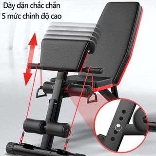 SP050 - Ghế tập tạ gym đa năng