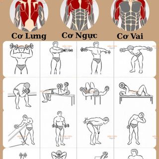 Bộ Tạ Tay Tập Thể Hình, Tạ Lục Giác Chống Đẩy 4Kg-20Kg Tập Gym Yoga Thể Thao Tại Nhà