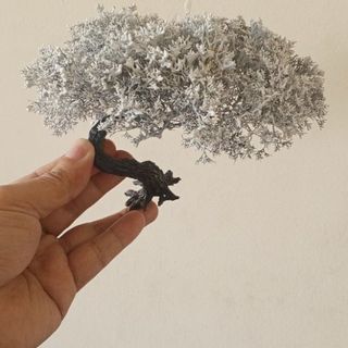 Cây tiểu cảnh mini để bàn 121