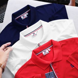 ÁO THUN CỔ BẺ THIẾT KẾ CAO CẤP FOM BODY POLO SRB01  - THỜI TRANG HC