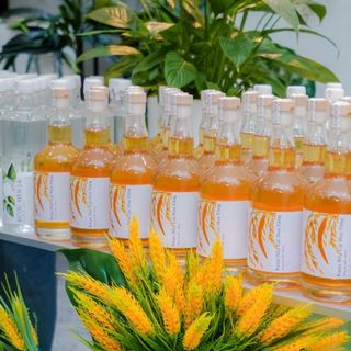 sỉ thùng RƯỢU NẾP CÁI HOA VÀNG_rượu thùng 12 chai(thương hiệu NAM NGỌC TỬU)
