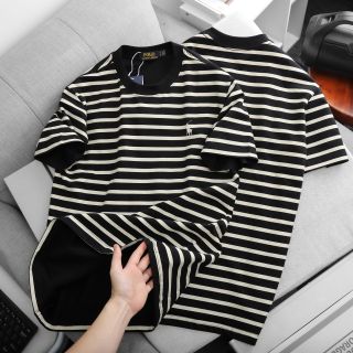 Áo thun nam.   Chất vải cotton 4c siêu xịn mịn mát
