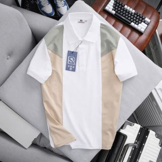 ÁO THUN CỔ BẺ FORM BODY SRB04 P302 - LADY'S PASSION