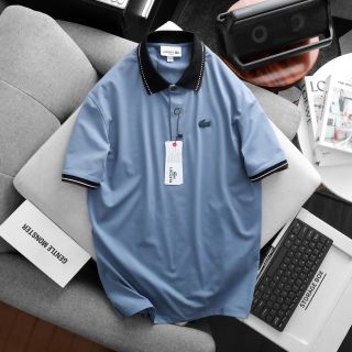 ‼️Polo shirt  Baisic Chất vải cotton 4c
