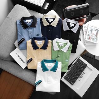 ‼️Polo shirt  Baisic Chất vải cotton 4c
