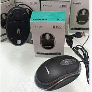 Chuột Banda dây B100