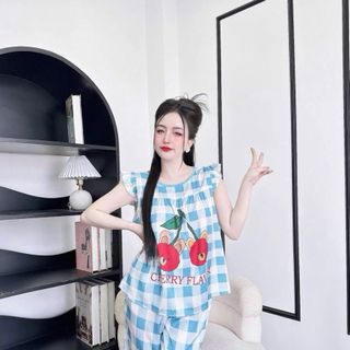 Lửng latin cánh tiên