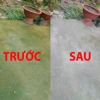Bột Tẩy Rong Rêu