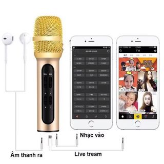 Mic c11