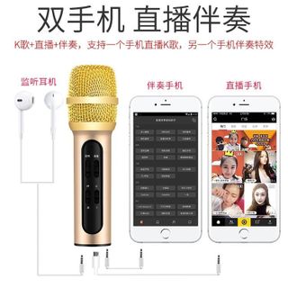 Mic c11