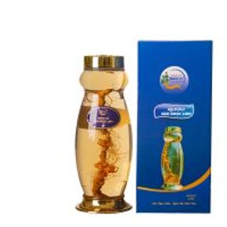 SÂM NGỌC LINH BẢO LY – DẪN ĐẦU HÀNH TRÌNH KIẾN TẠO SỨC KHỎE & KHỞI NGHIỆP BỀN VỮNG
