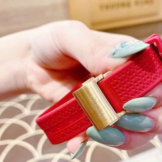 ĐỒNG HỒ NỮ CAO CẤP XALVATO F80 FIG NIỀNG THÉP GẮN ỐC