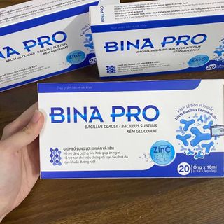 Men vi sinh bào tử lợi khuẩn [Bina Pro] - H/20 ống x 10ml