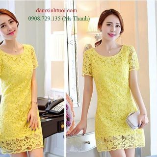Đầm ren suông TT368