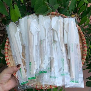 Thùng 1000 đữa giấy THÌA GỖ-
